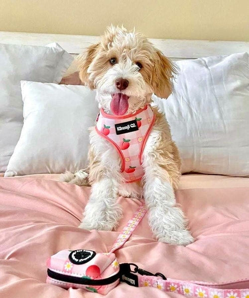 Precious Peach Collection-Adjustable Harness